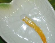 tca-miniwbig