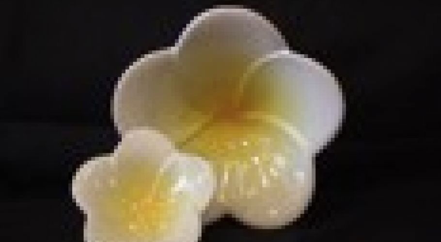 dualplumeria