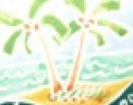 tcxpalm
