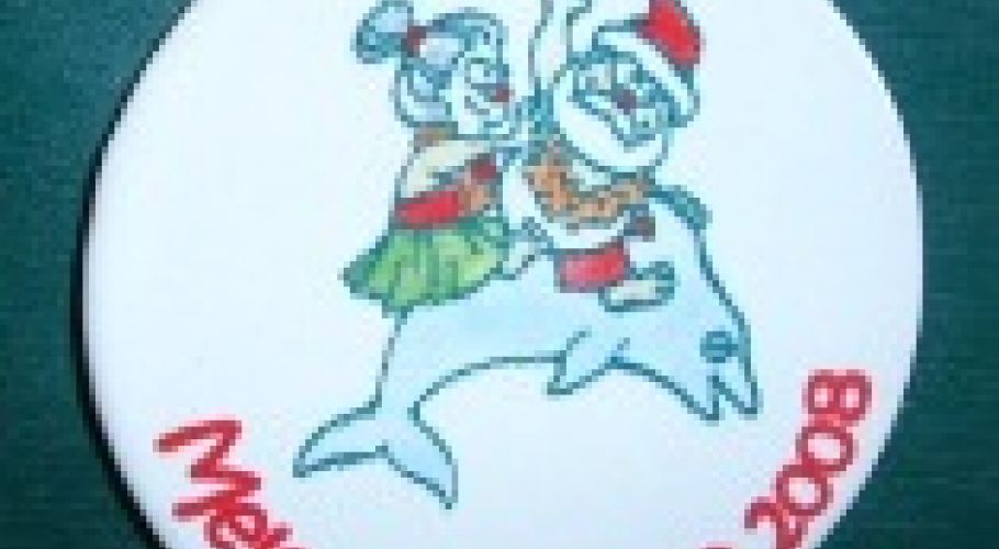 mr&mrs santa