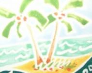 tcxpalm2005