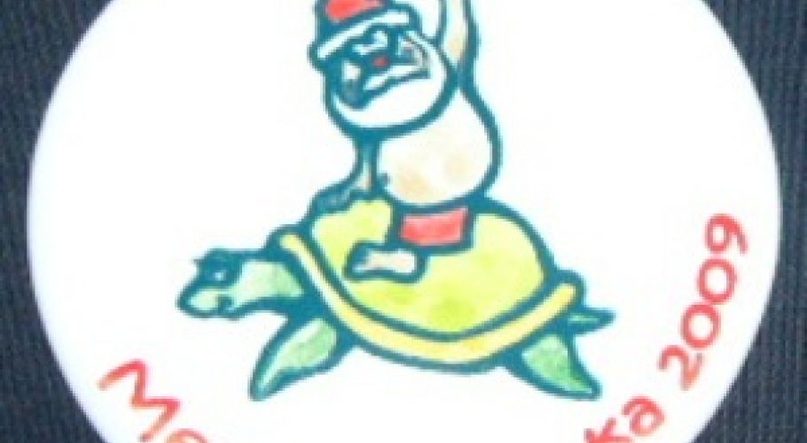 turtlesantabig